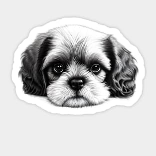 Shih Tzu Puppy Sticker